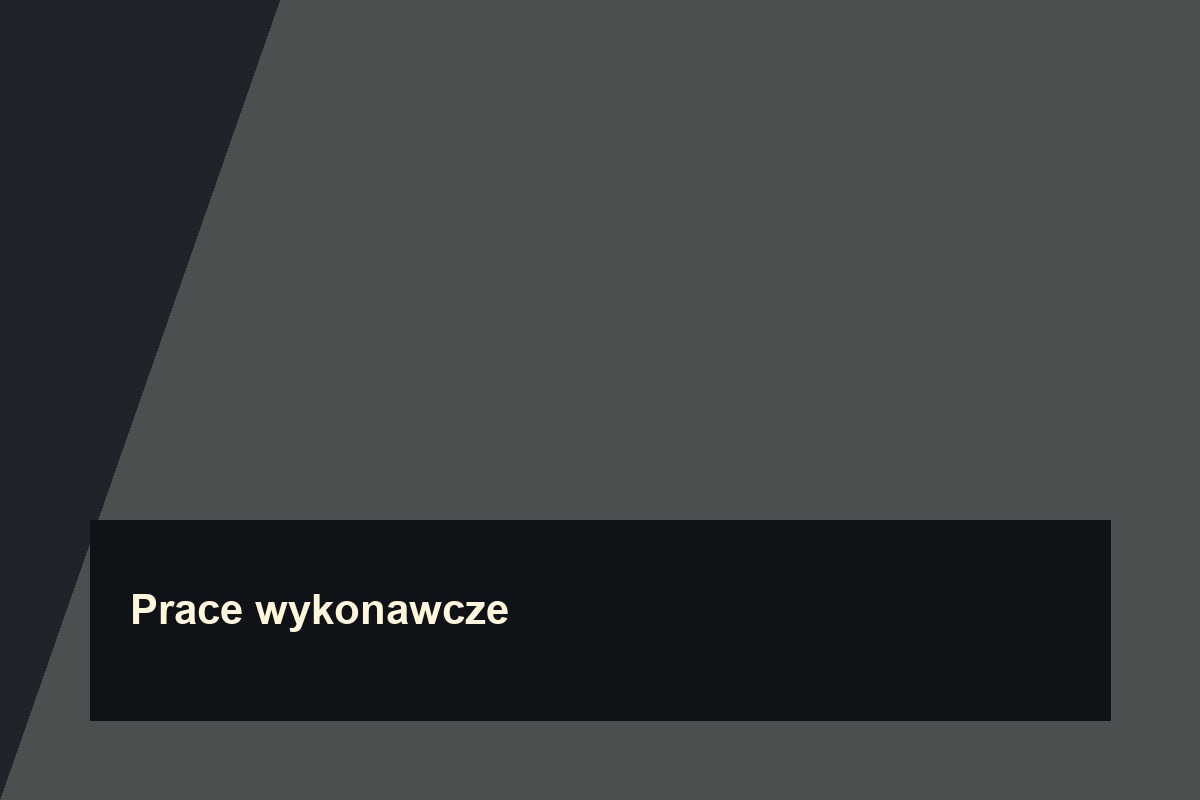 Prace wykonawcze na placu budowy